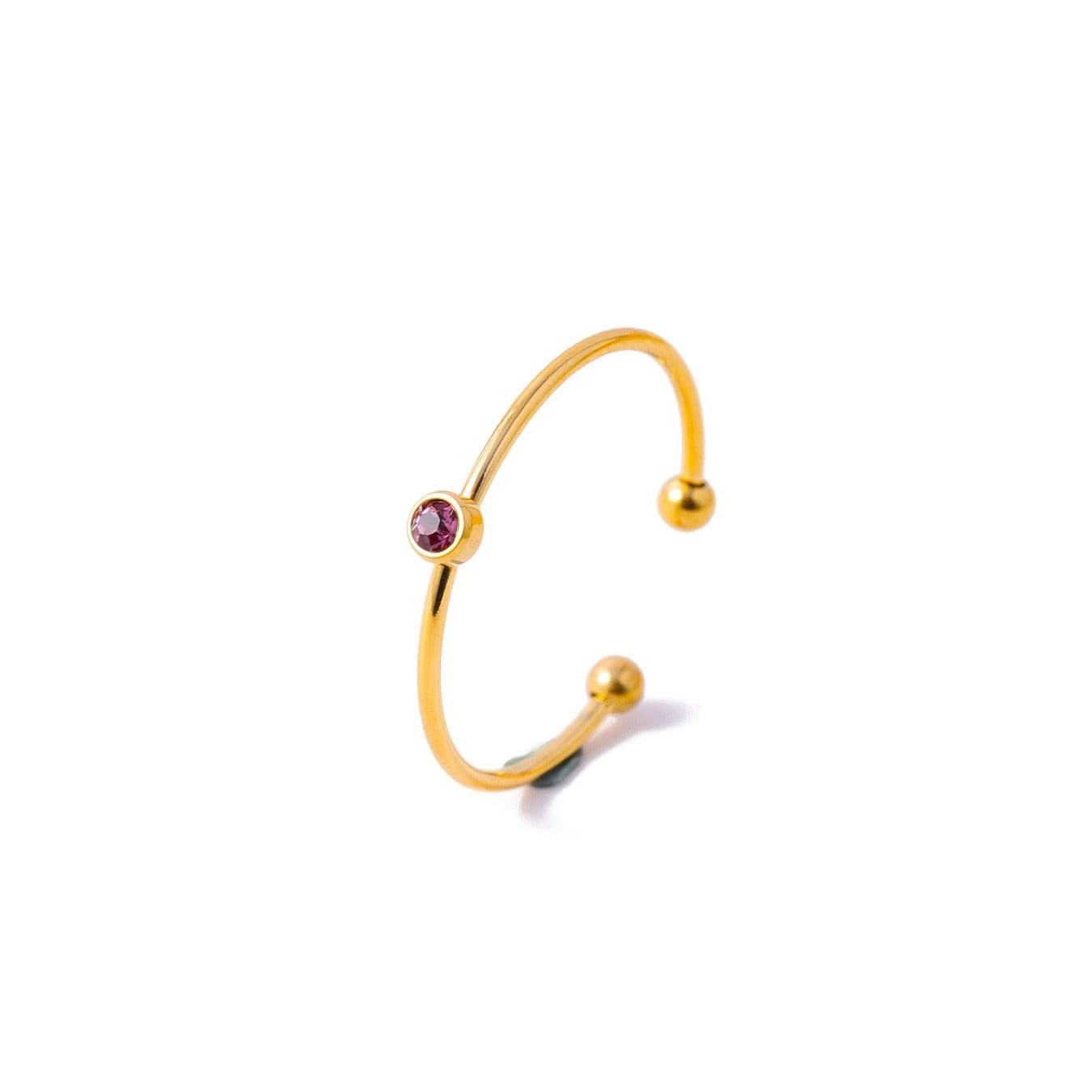 Ring Geboortemaand 6