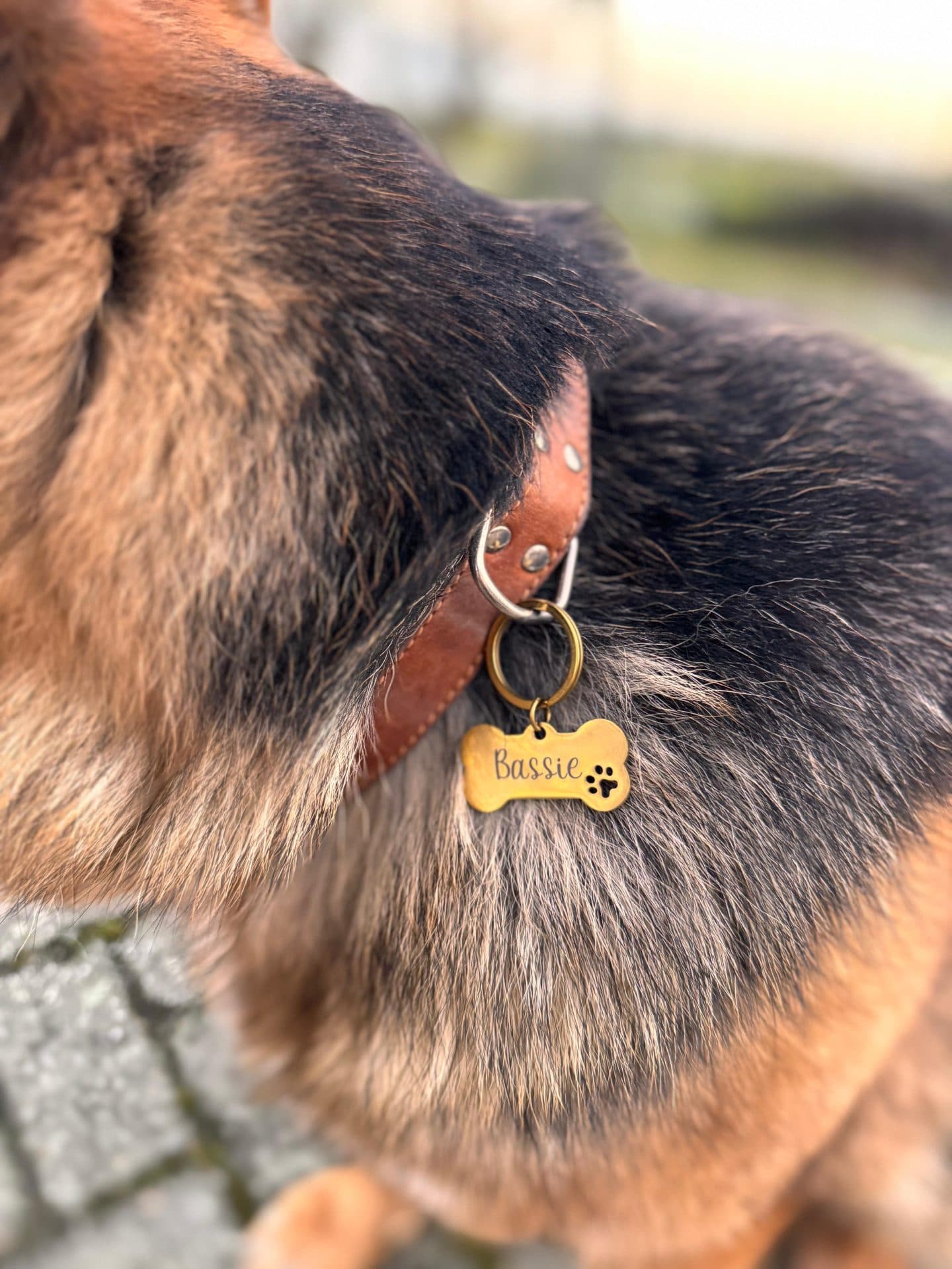 Graveerbare Hondenpenning Bot — alternatieve afbeelding